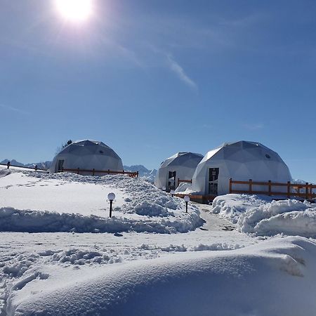 Glamping Pasieka Namiot Glamp Bukowina Tatrzanska - Domki W Gorach Groń Екстериор снимка