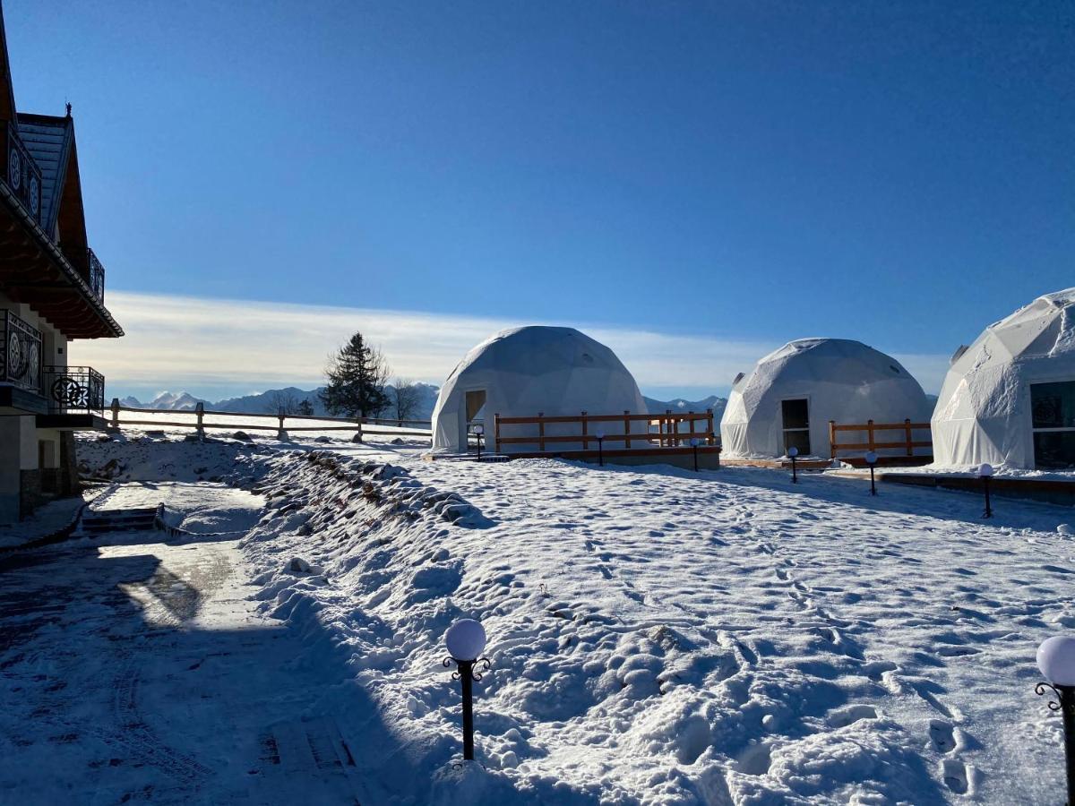 Glamping Pasieka Namiot Glamp Bukowina Tatrzanska - Domki W Gorach Groń Екстериор снимка