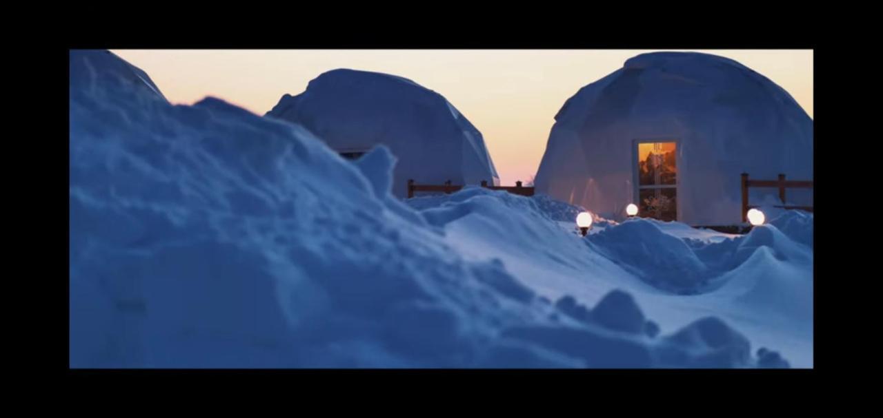 Glamping Pasieka Namiot Glamp Bukowina Tatrzanska - Domki W Gorach Groń Екстериор снимка