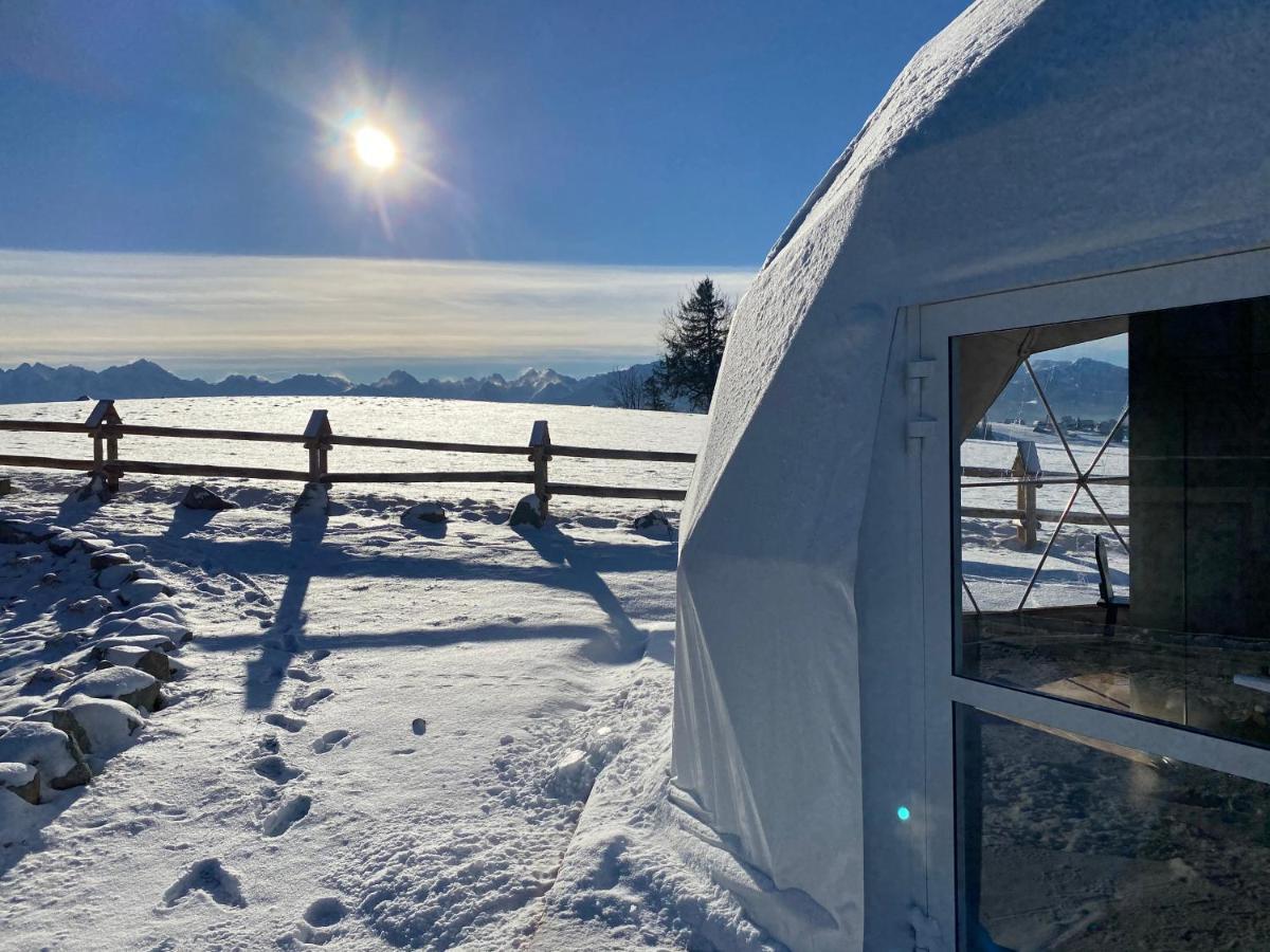 Glamping Pasieka Namiot Glamp Bukowina Tatrzanska - Domki W Gorach Groń Екстериор снимка