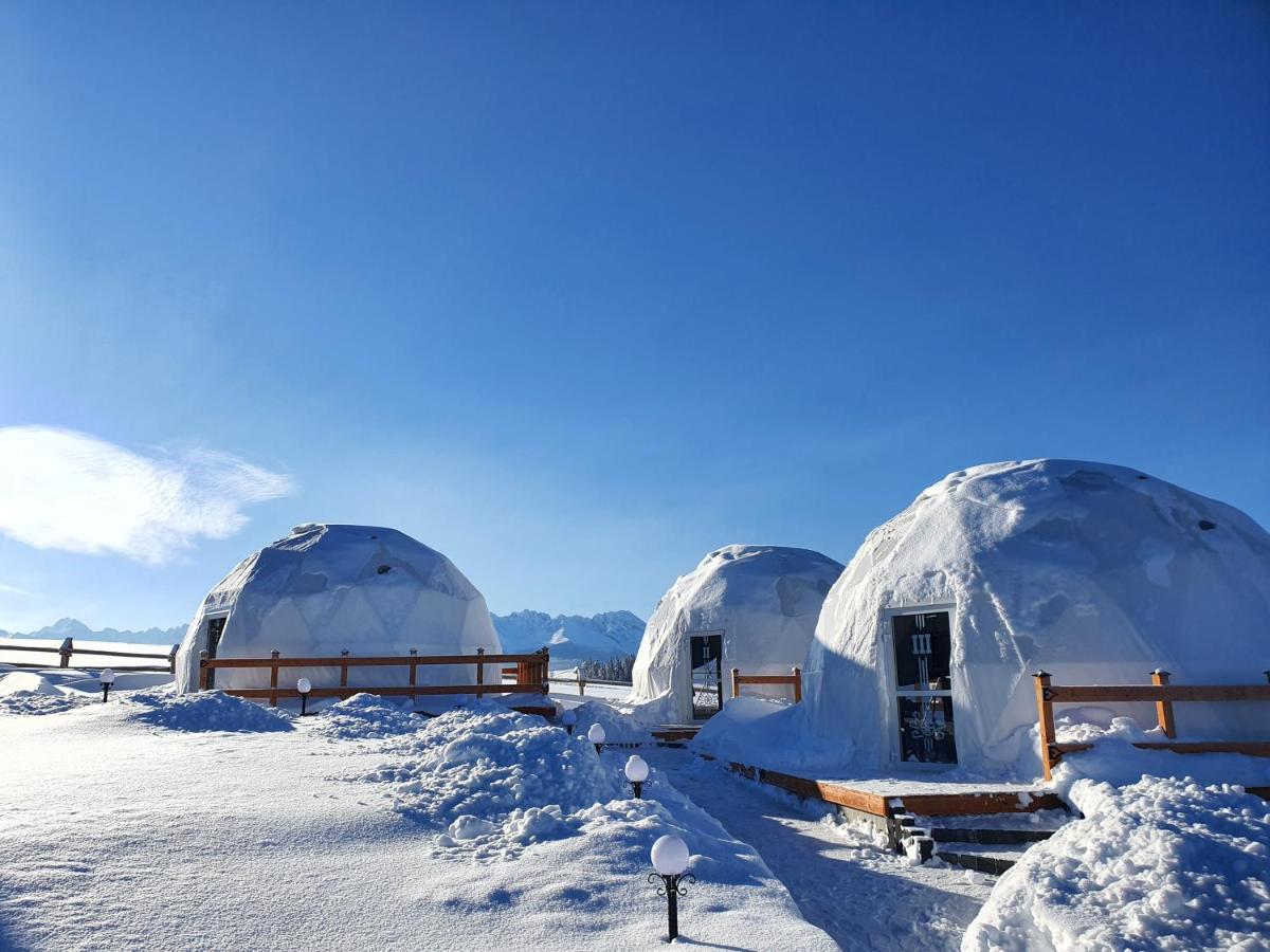 Glamping Pasieka Namiot Glamp Bukowina Tatrzanska - Domki W Gorach Groń Екстериор снимка