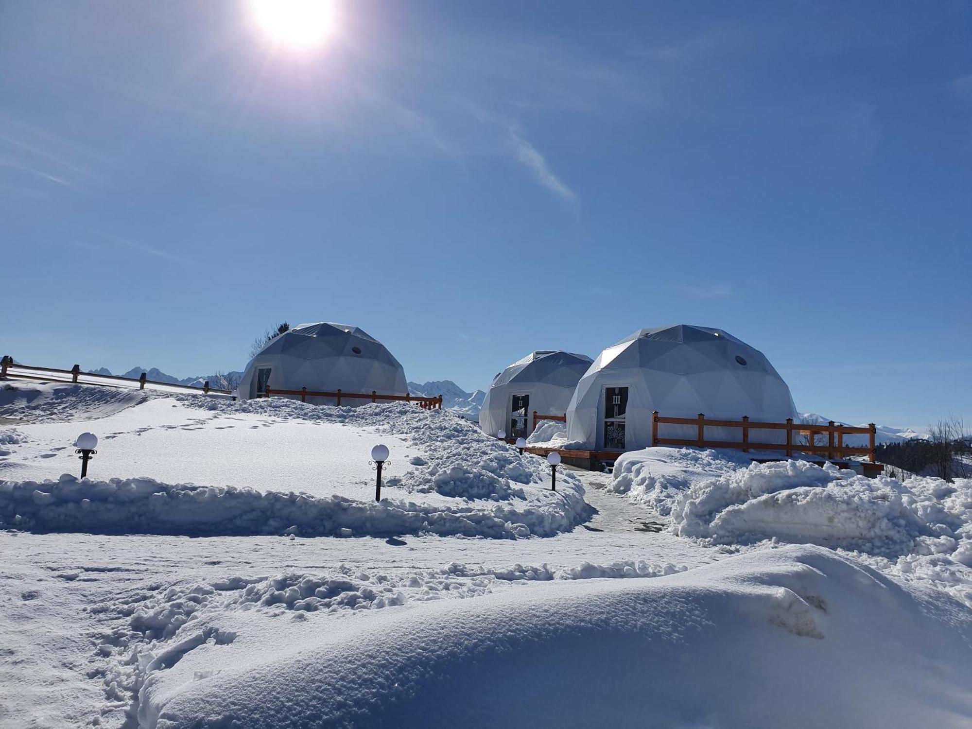 Glamping Pasieka Namiot Glamp Bukowina Tatrzanska - Domki W Gorach Groń Екстериор снимка